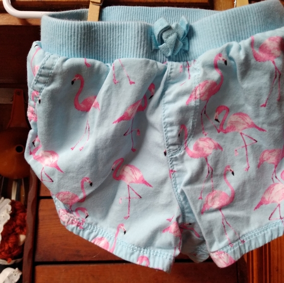 Shorts - Picture 2 of 2